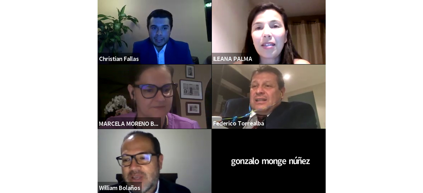 Participantes primer TFG virtual